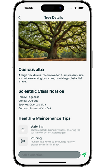 Application Twin Mockup