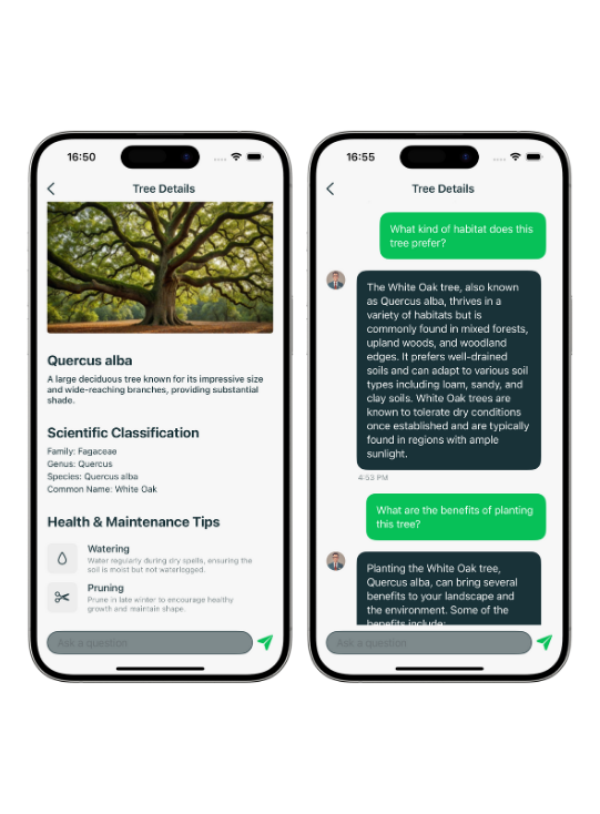 Application Mockup